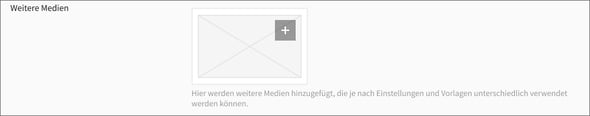 Interner Channel - Segment Abweichende Hoteldaten_FELD_Weitere-Medien