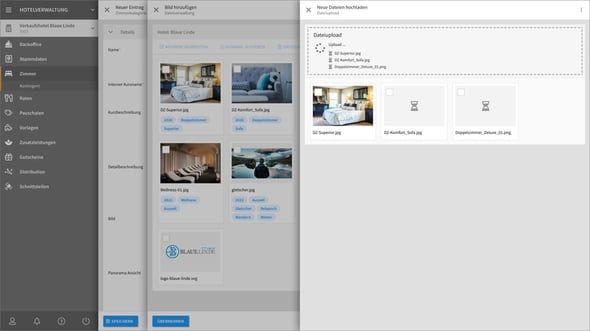 b7001b03-0750-43f7-b1c3-cb25398c0407